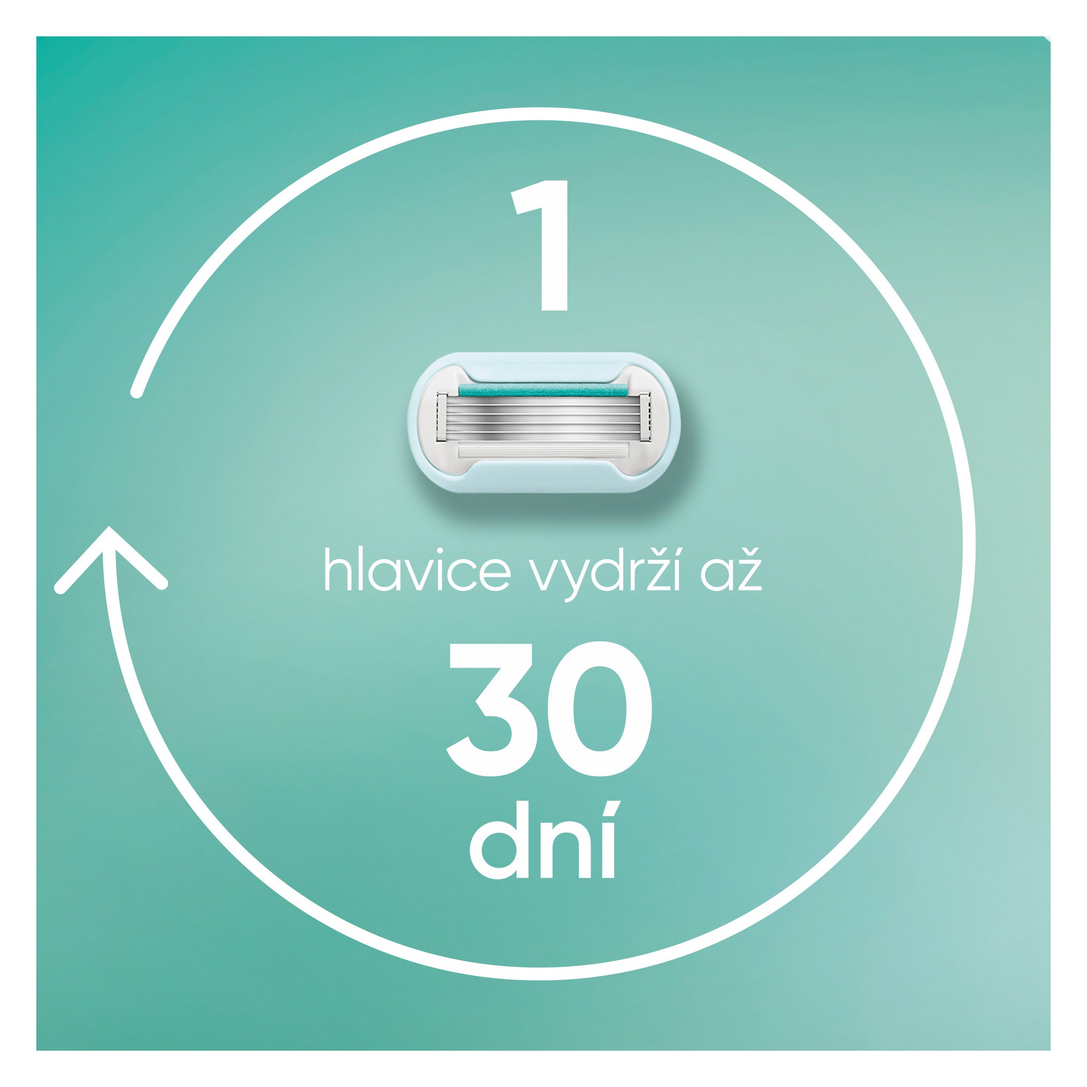 Gillette Venus Pro Smooth Sensitive náhradní hlavice 6 ks